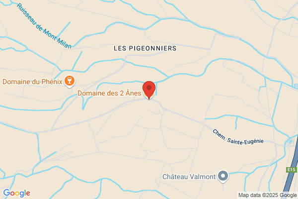 Domaine Des 2 Anes