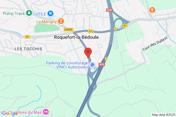 Bois flotté et pierres en Méditerranée