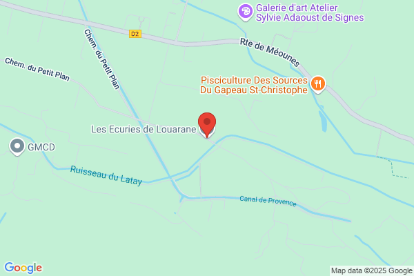 Cavaliers Et Chevaux D Islande