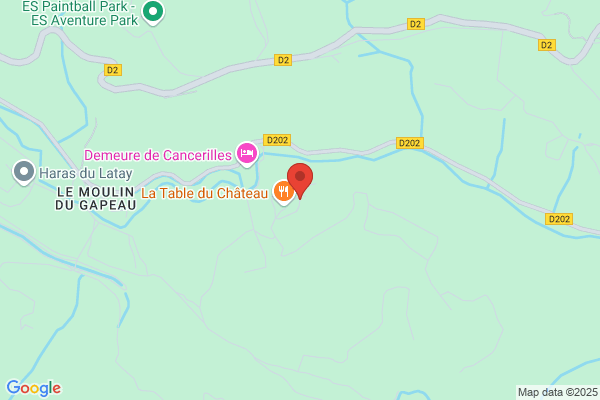 Chateau De Cancerilles