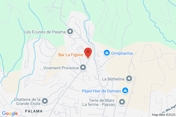 Bar De La Figone