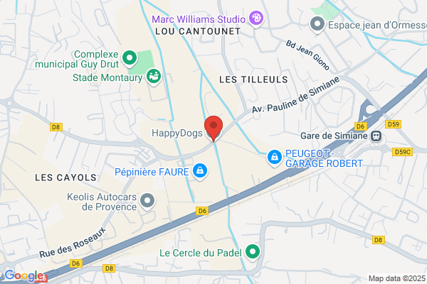 Cani Expérience