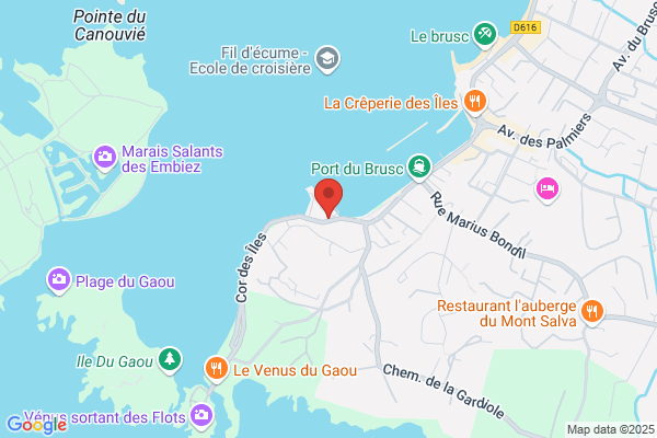 Comite Departemental Etudes Et Sports Sous Marins
