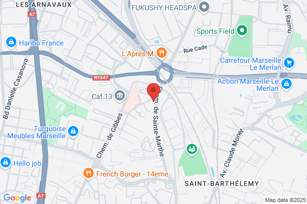 Ducros Pierre Medecin