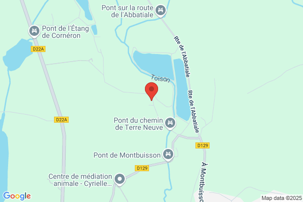 Terre Neuve en Albret