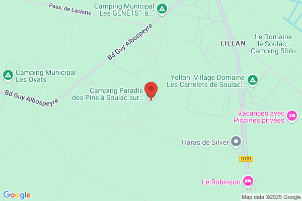 CAMPING DES PINS