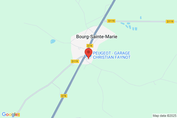 Christian Faynot Automobile