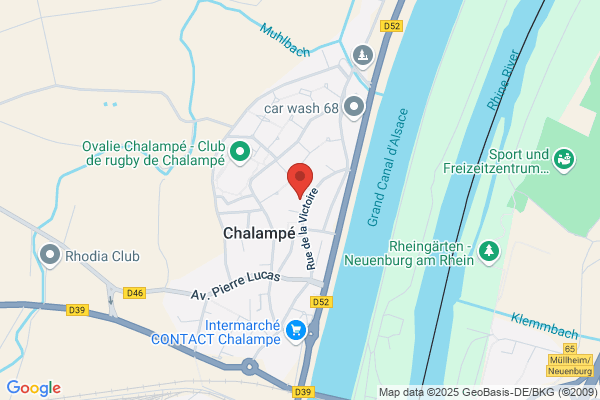 Ingelia