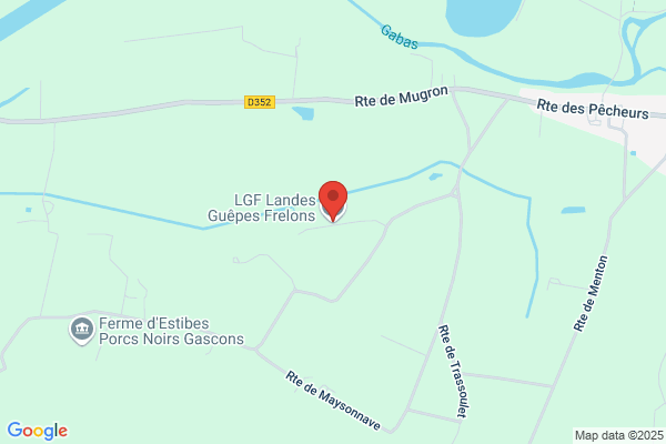 Landes Guêpes Frelons