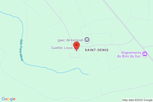 Guellec Louis
