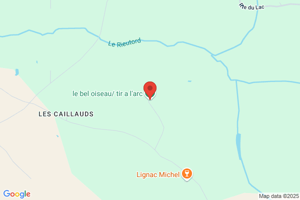 le bel oiseau Tir à l'Arc