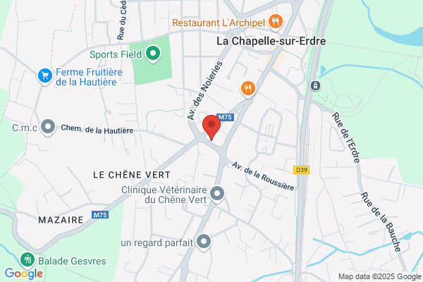 Cognee Jullien Michele Orthodontiste