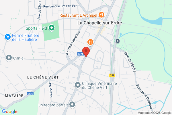 Domino's Pizza La Chapelle-sur-Erdre