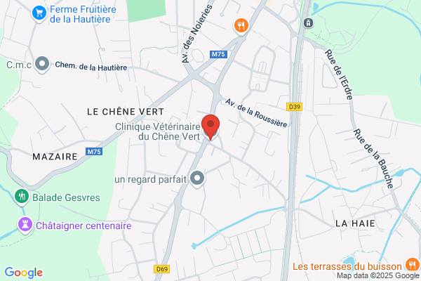 Bramoulle Myriam Veterinaire