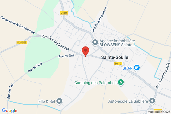 Bedoucha Philippe Medecin