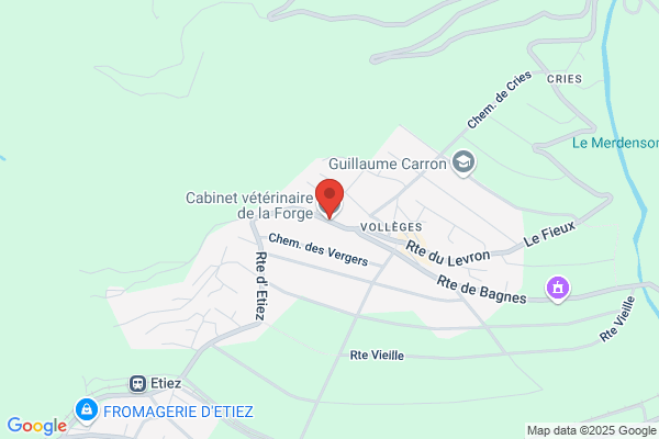 Clinique Veterinaire Klein Benalloul Laforge