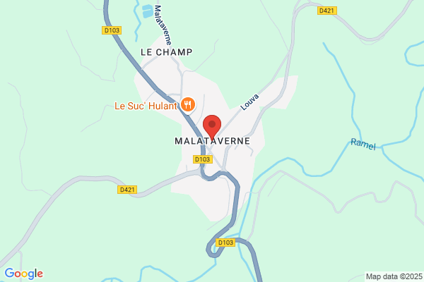 Brun Bernard Inseminateur
