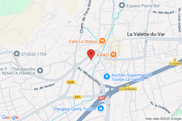 Dojo Varois
