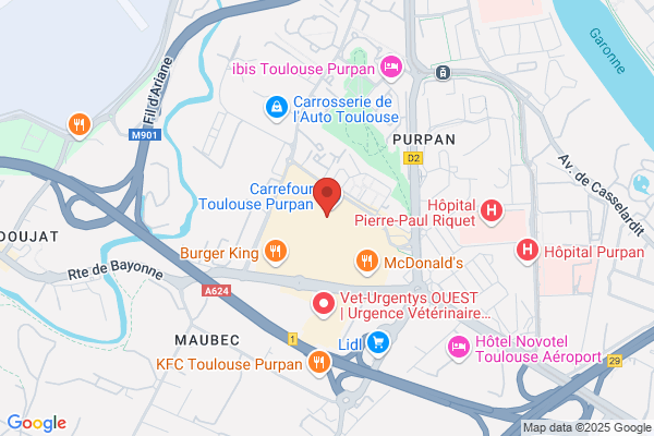 Action Toulouse Purpan