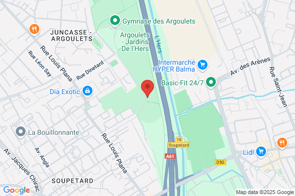 Association Des Chiens Guides D Aveugles Toulouse midi pyrenees