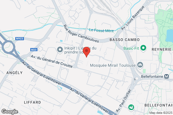 Instep Leo Lagrange Midi Pyrenees Service Animation Local
