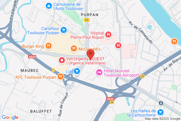Banque Populaire Toulouse Pyrenees Bptp Toulouse Purpan