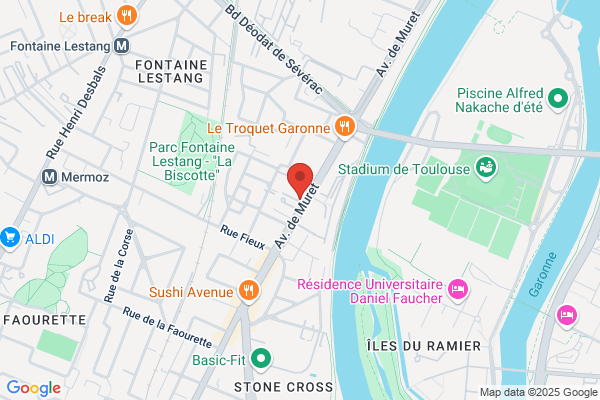 Ariege Toulouse Peinture