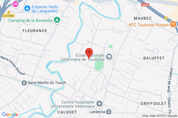 Ecole Nationale Veterinaire De Toulouse Envt Centre Equestre