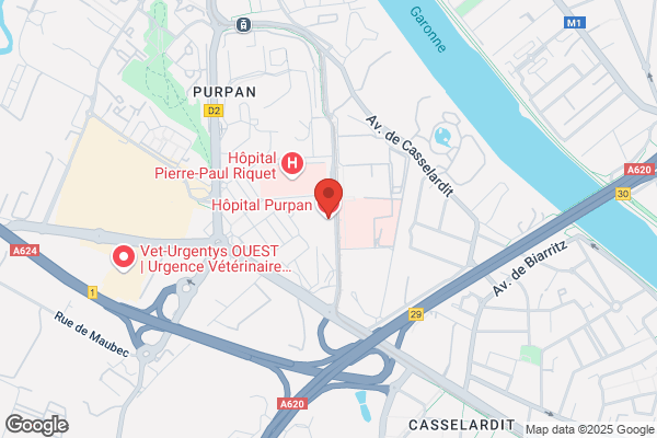 Hopital Purpan Chu Medecine Interne Hypertension Arterielle