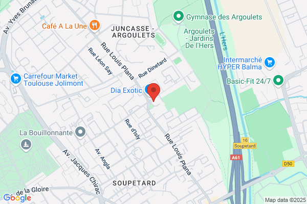 Associations De Centre De Soins De Toulouse Soupetard