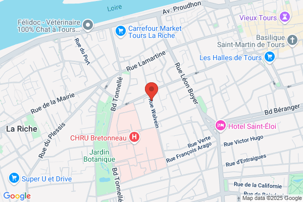 Elan Retrouve De Touraine