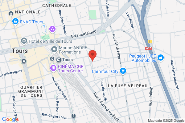 Cicas D Indre Et Loire