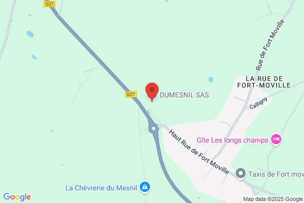 Dumesnil Sarl