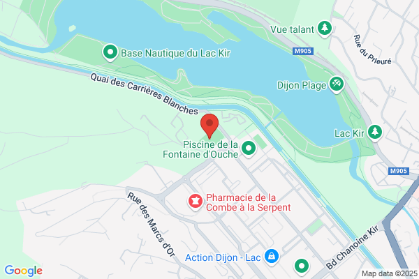 Asfo Association Sportive Fontaine D Ouche