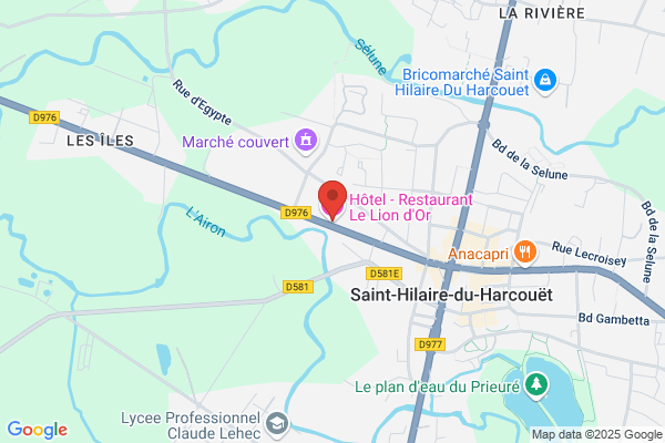 Hotel Du Lion D Or