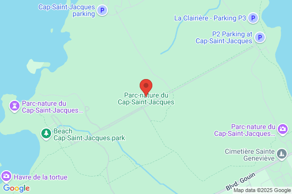 Cap Saint Jacques
