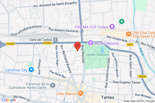 Dojo Artevia