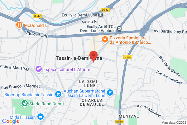 MAAF Assurances TASSIN LA DEMI LUNE