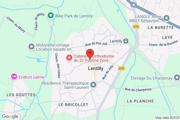 Boucherie Des Celestins