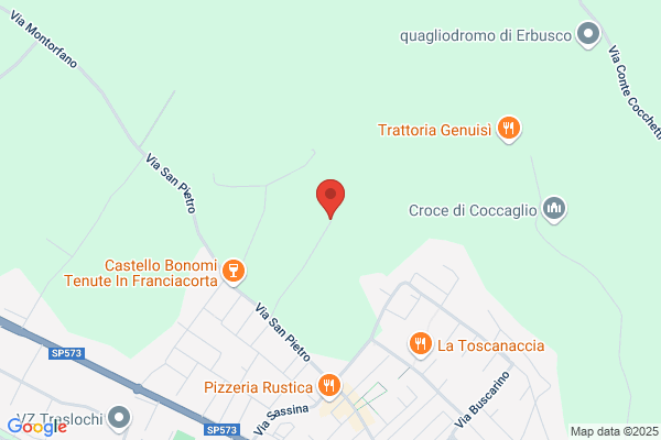 Faccoli Rene