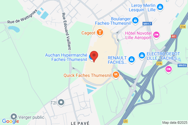 Histoire d'Or