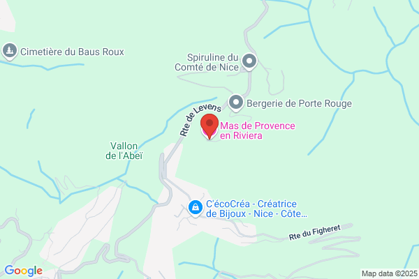 Hotel Mas Provencal