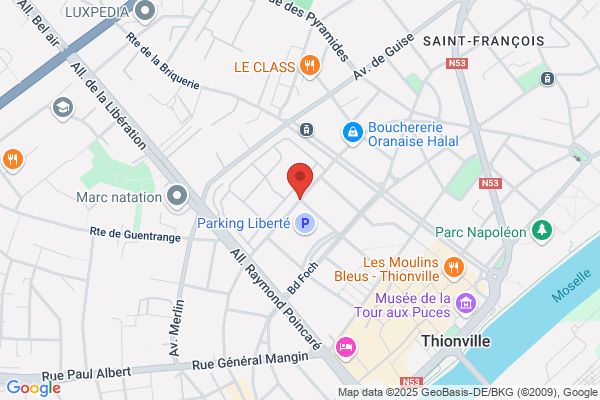 Armee De Terre