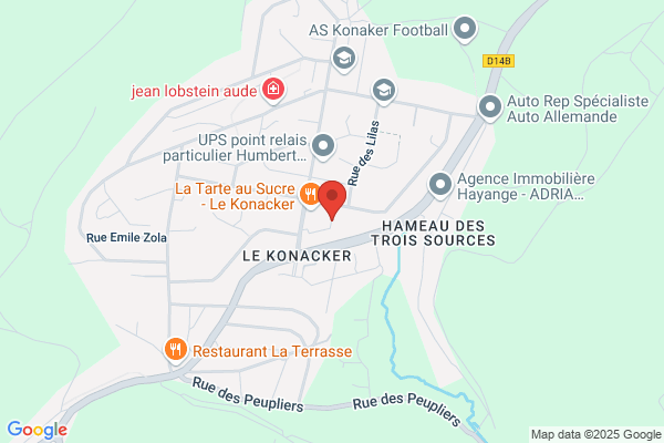 Briard Jean Marie Masseur Kinesi