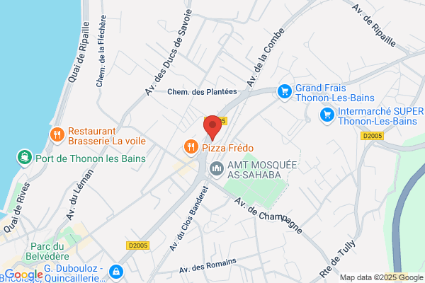 Avis Location Voiture - Thonon Les Bains