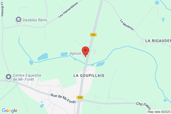 Api Alain Pinel Ingenierie