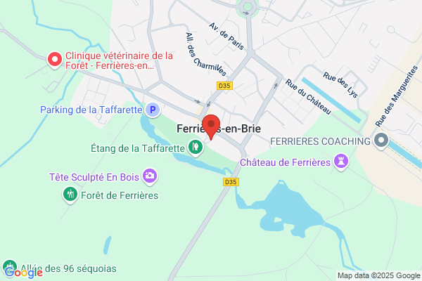 Ajf Association Des Jeunes De Ferrieres