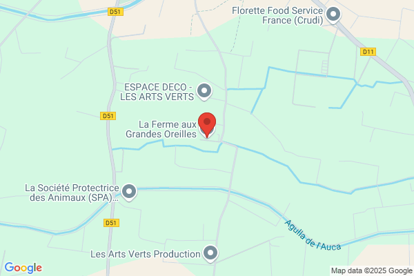 Gros Calins