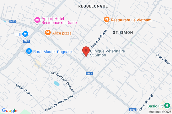 Auguste Dany Veterinaire
