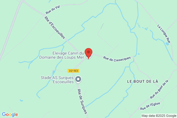 elevage des masques du marais DMDM dogeducsport